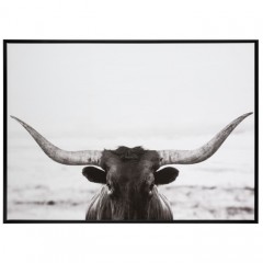 WALL DECO CANVAS FORO BULL 